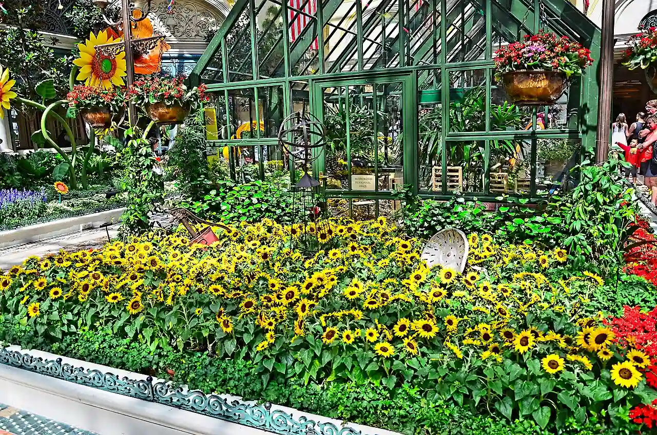 Bellagio Conservatory & Botanical Gardens (14482253185)