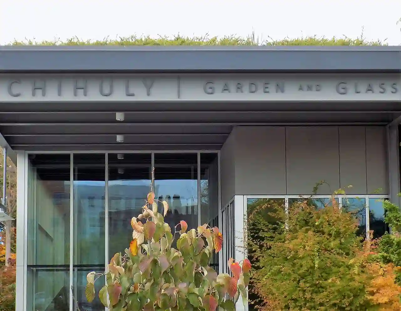 Chihuly Entrance