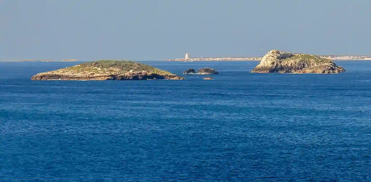 Illots d'Eivissa (Pitiüses) 12. Es Malvins