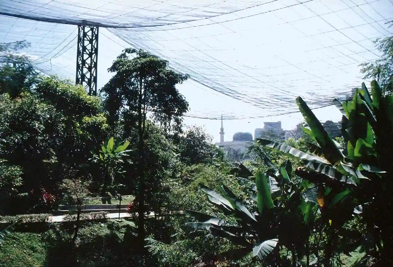 KL Bird park net
