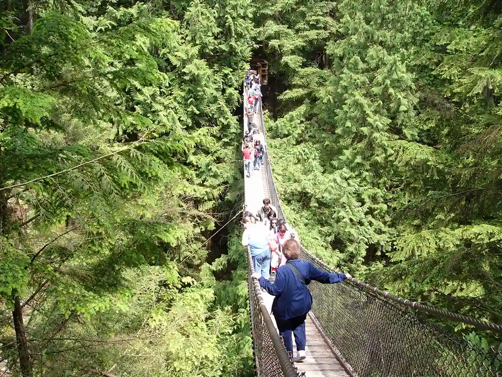 Lynn Canyon Park, 26 juin 2008, 3