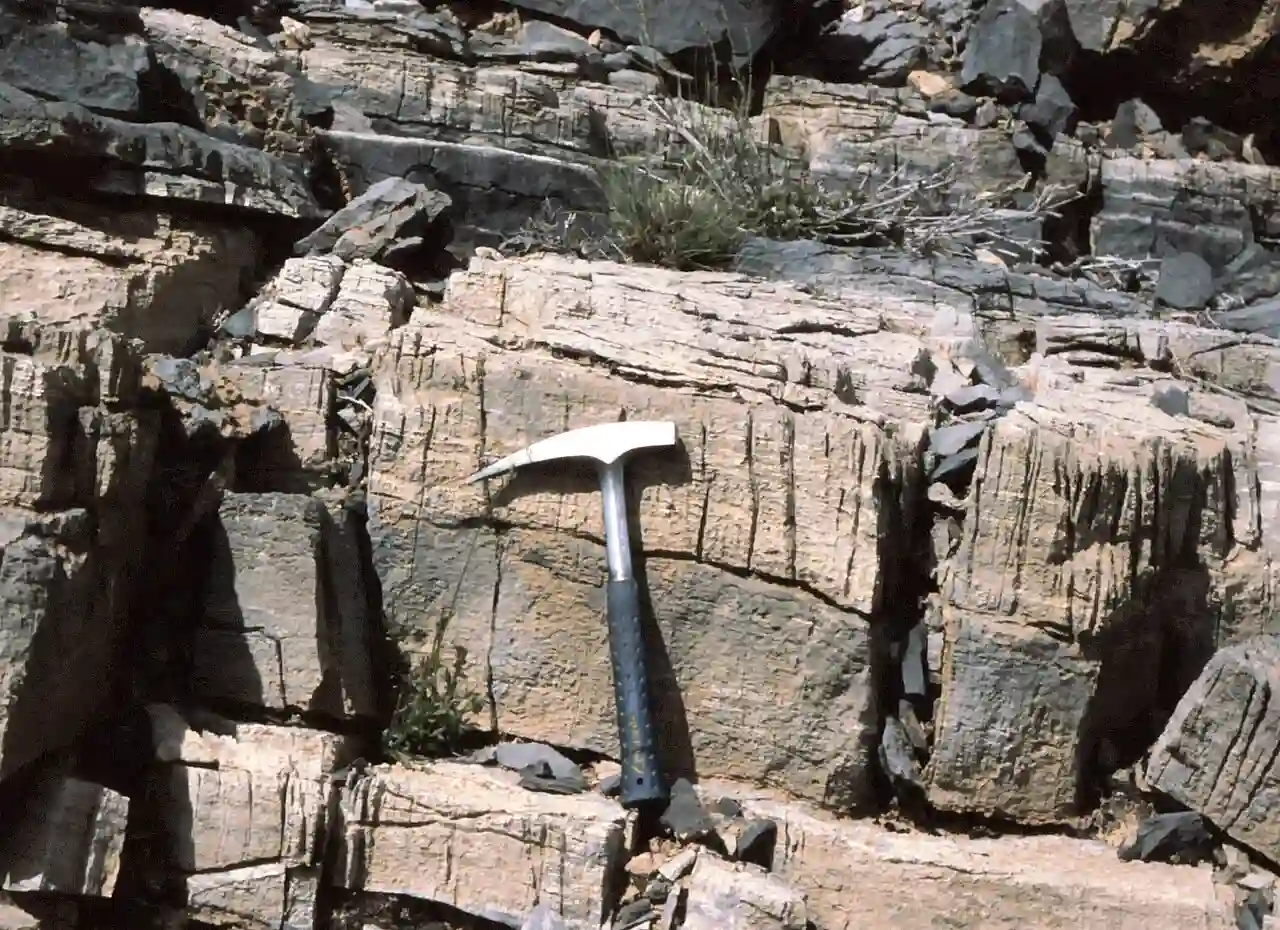 Cycle émersif Oman