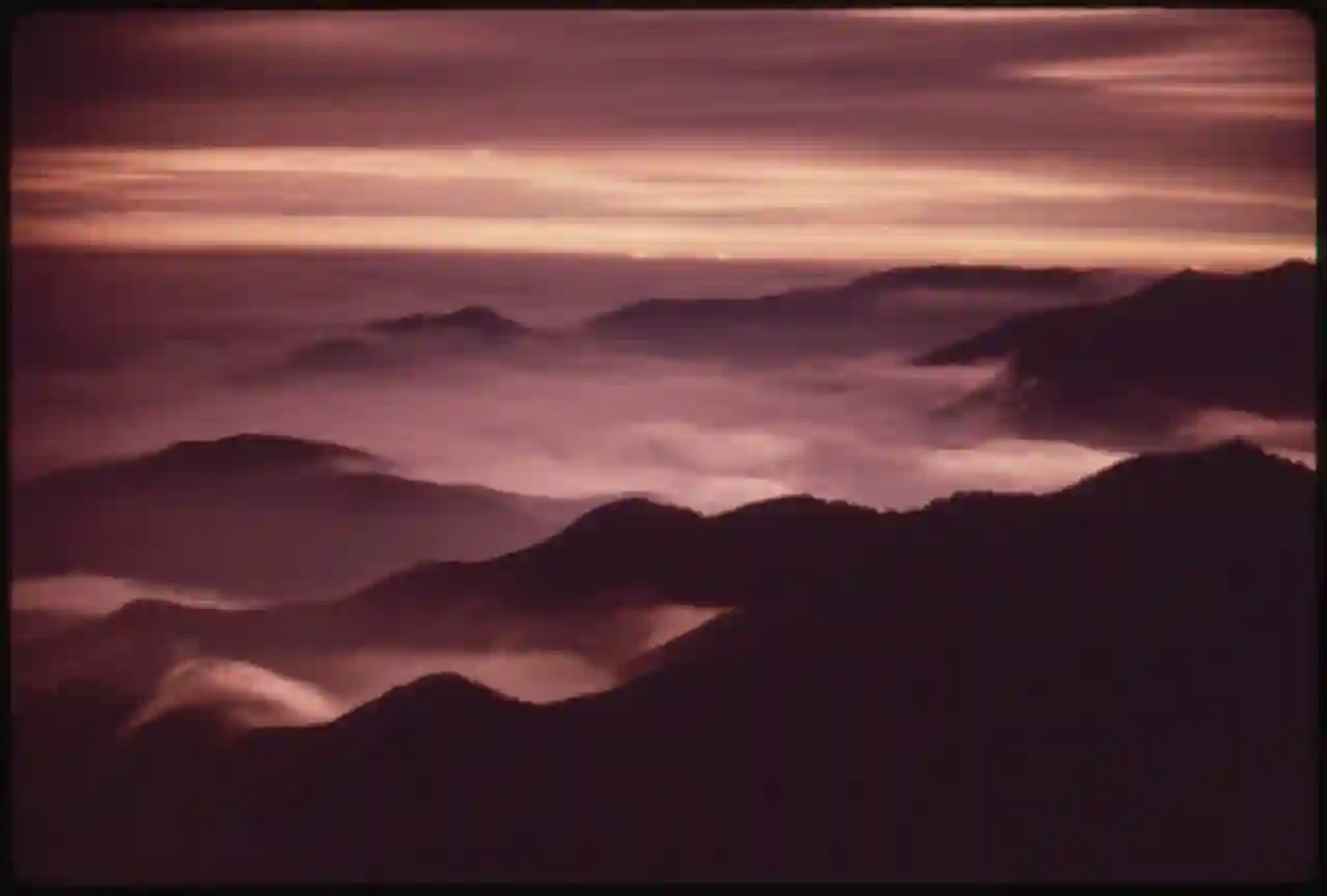 DOUGLAS FIR COUNTRY VIEWED BY MOONLIGHT FROM THE TOP OF DEER PARK IN THE OLYMPIC NATIONAL PARK, WASHINGTON
