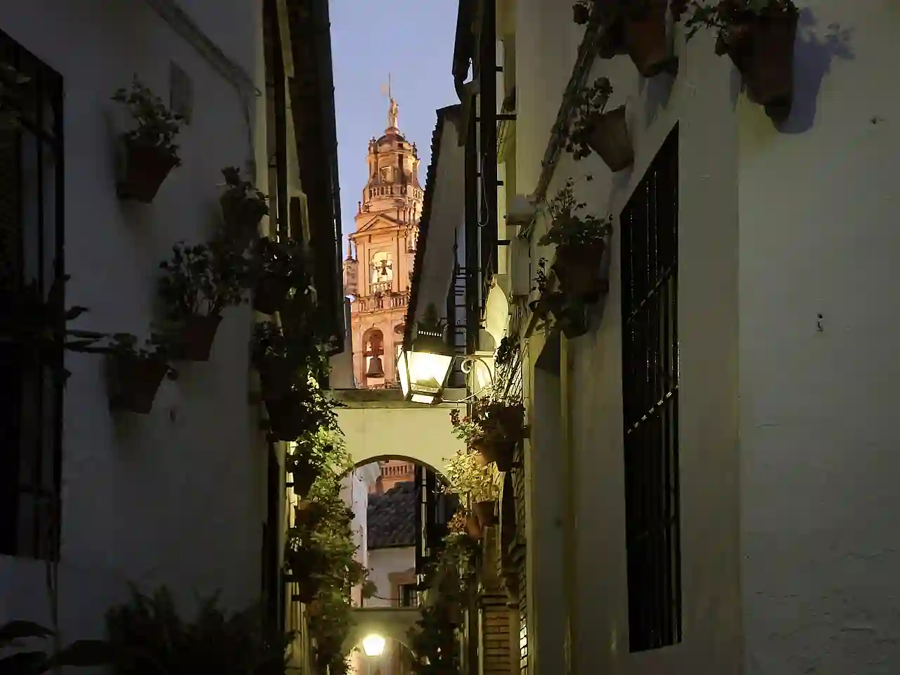 Calleja Córdoba