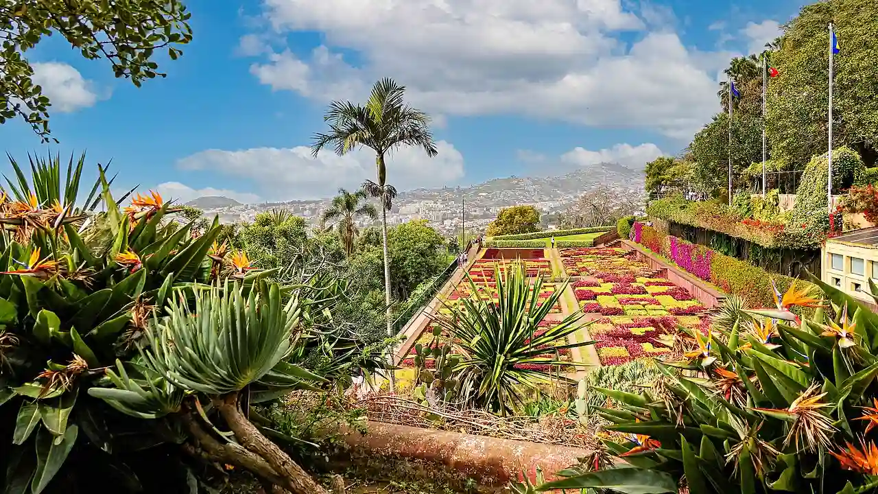 Funchal, Jardim Botânico da Madeira (Choreographed gardens) 3