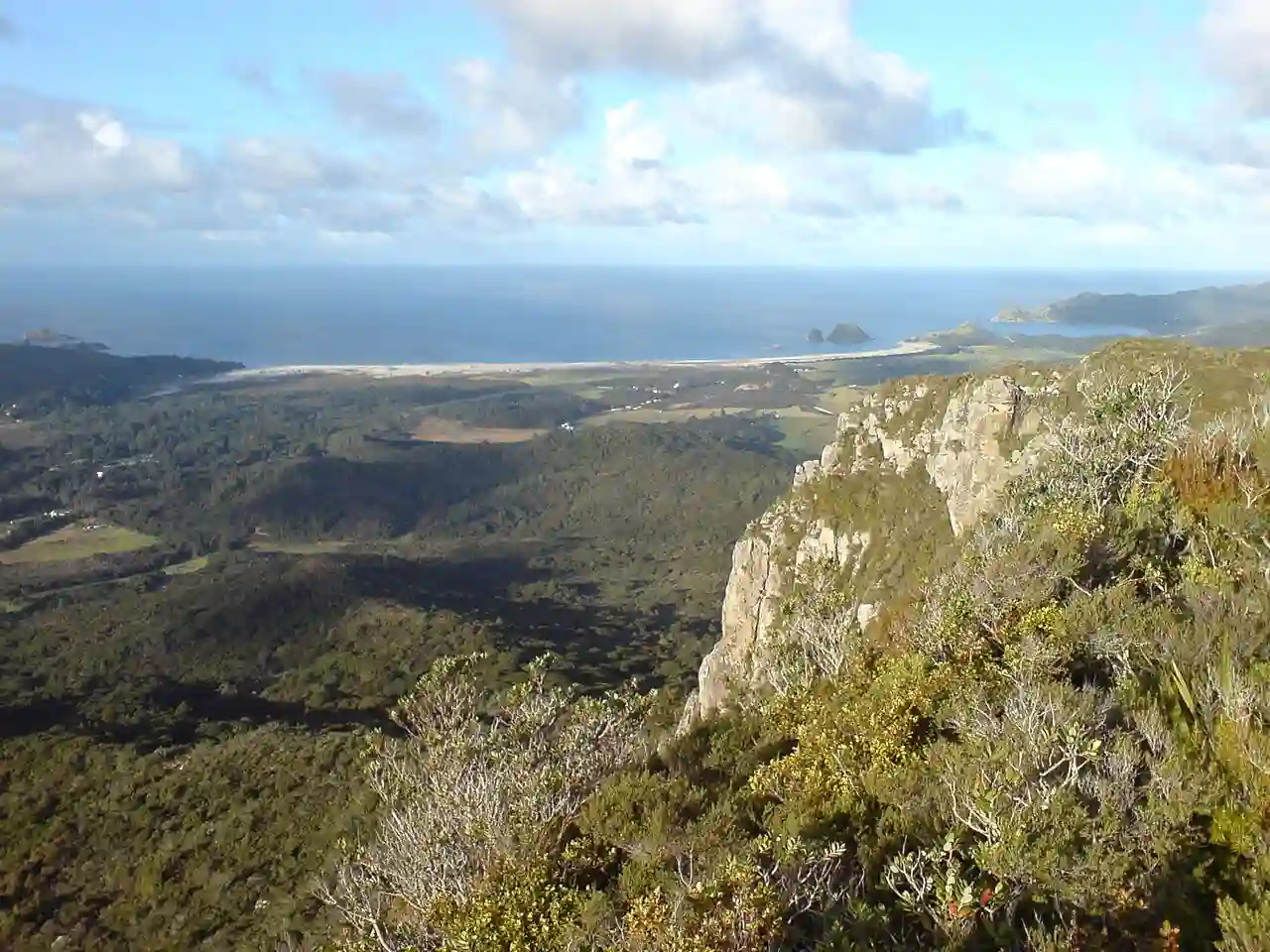 Medlands Beach From High Up West