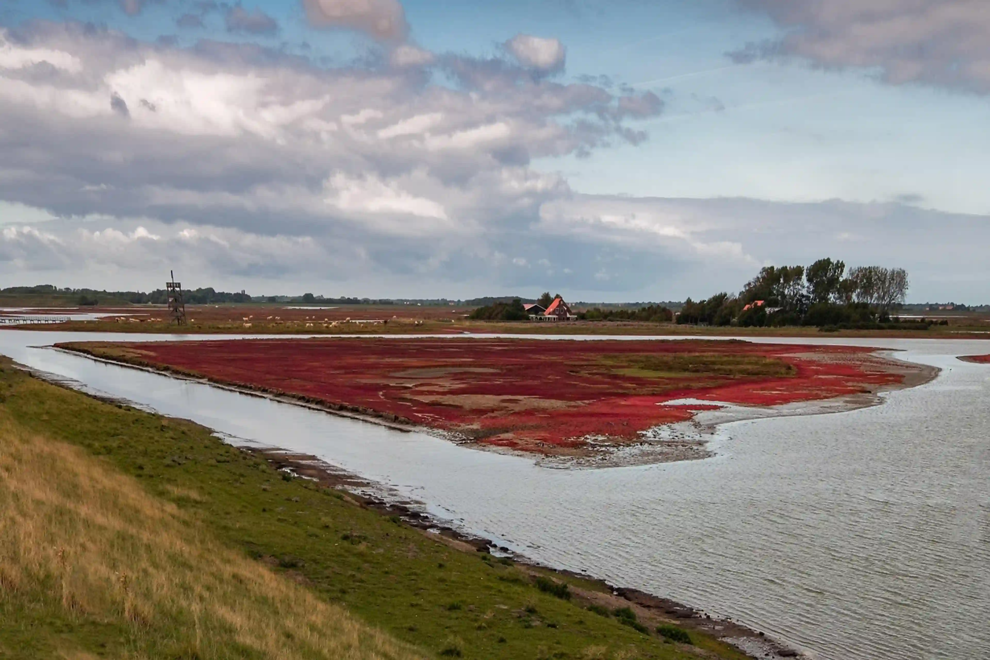 Zeeland - 4