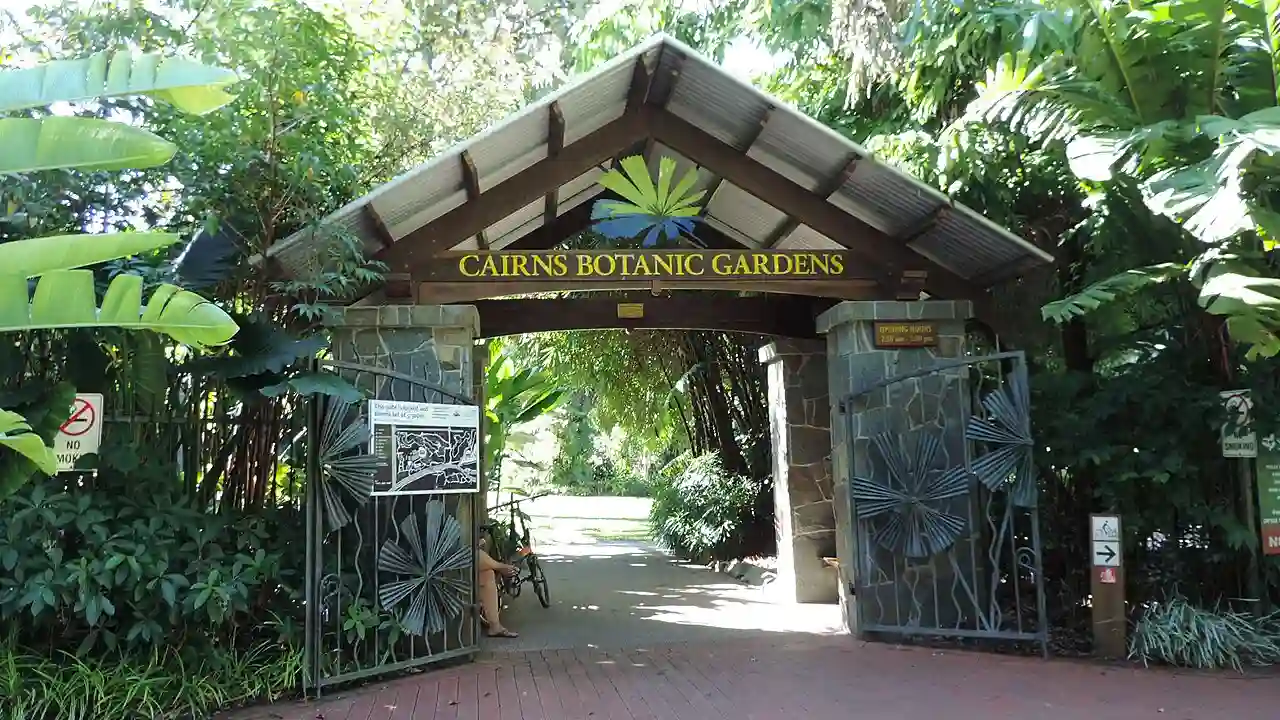 Cairns Botanic Gardens, Edge Hill, 2018 01