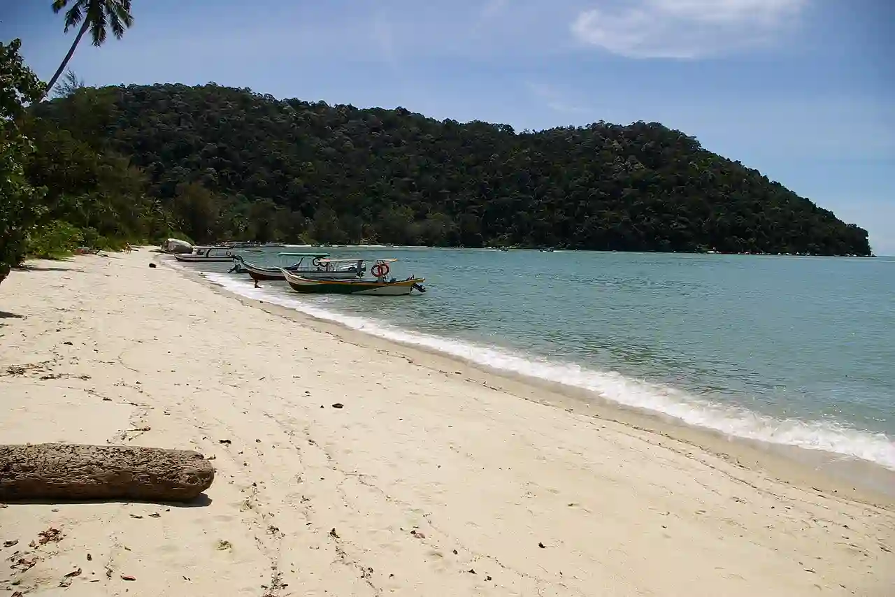 Monkeybeach08