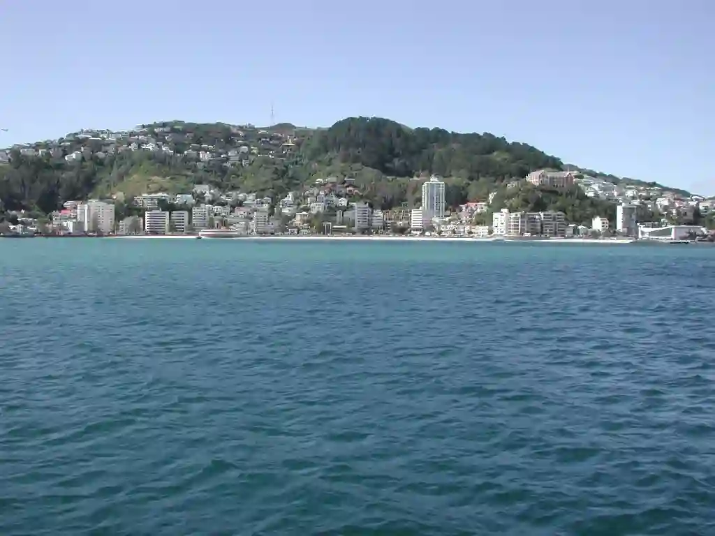 Oriental Bay from Wellington Harbour Ferry