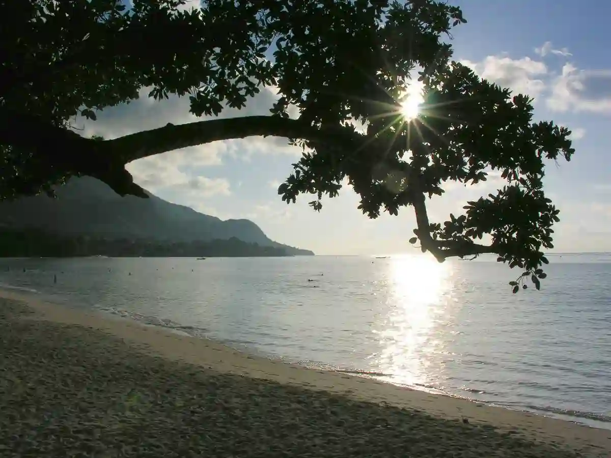 Seychelles 059
