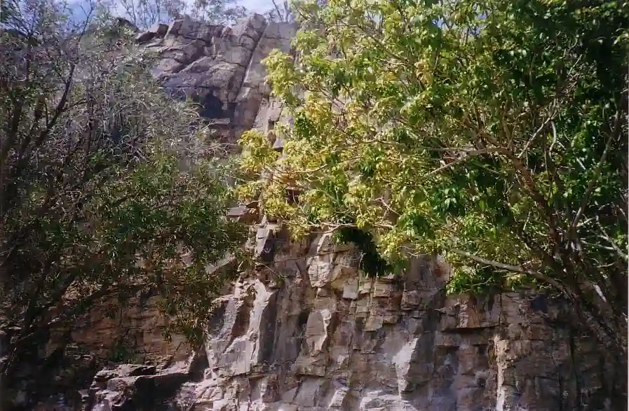 Kangaroo-Point-Cliffs-photo-taken-September-2007