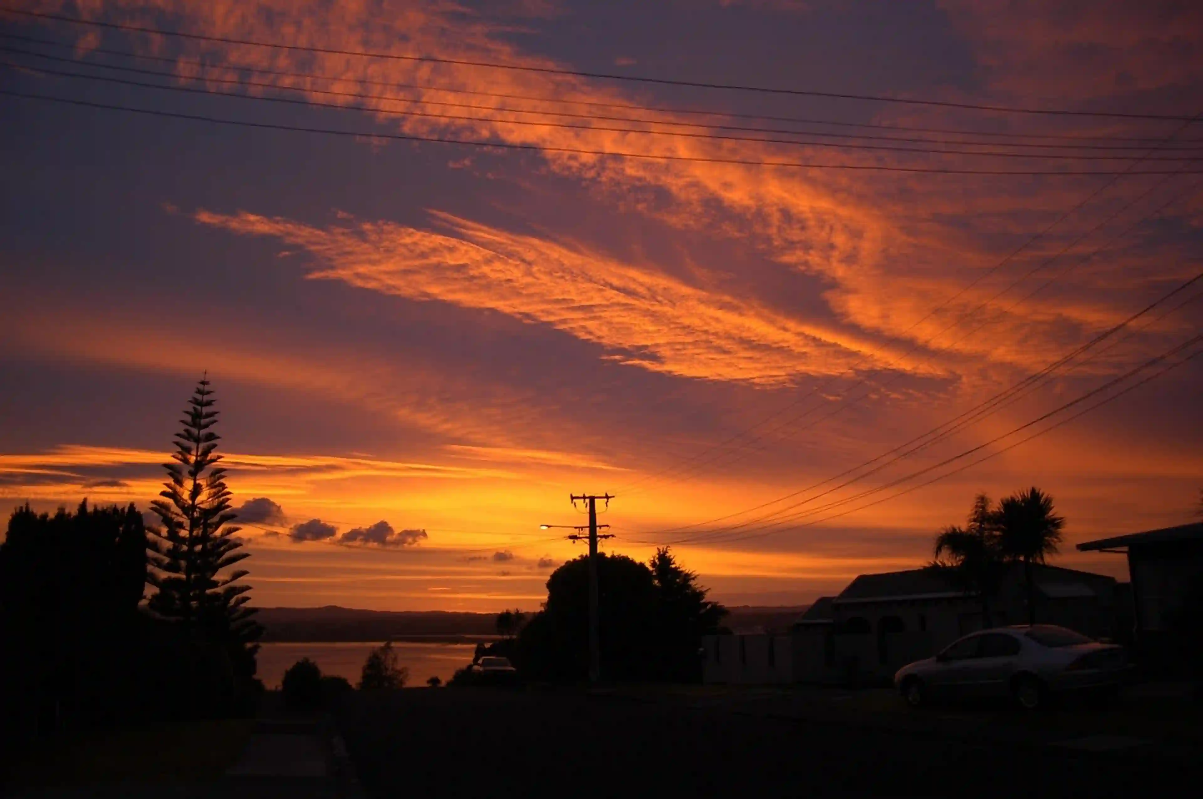 Auckland - 1