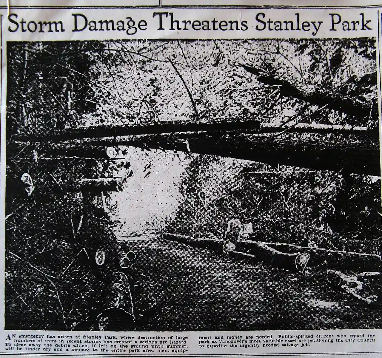 StormDamageThreatensSP