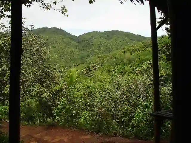 ビクトリア