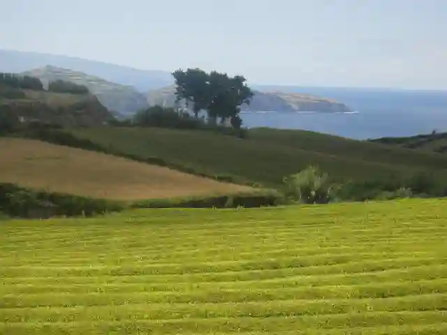 Terceira (Azores)