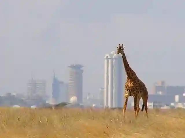 ナイロビ