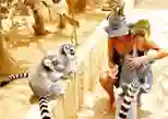 Monkey Park Tenerife