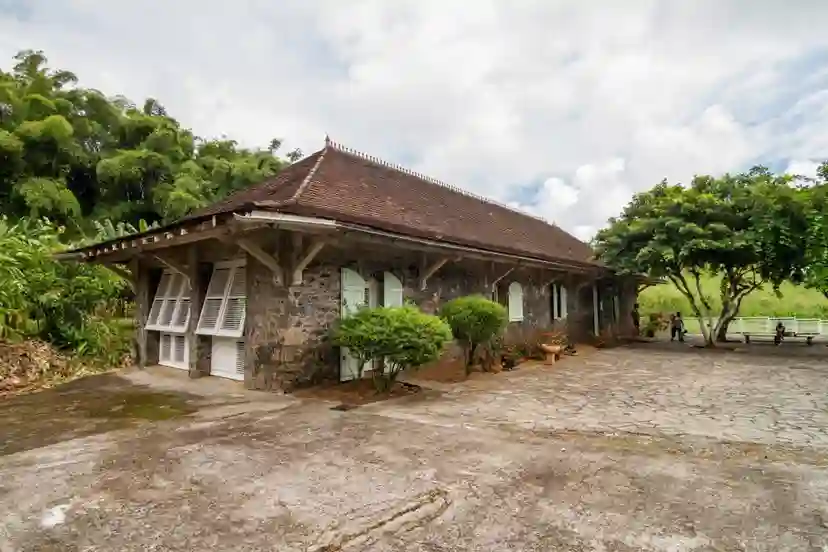 Musée de la Banane (Le Musee de la Banane)