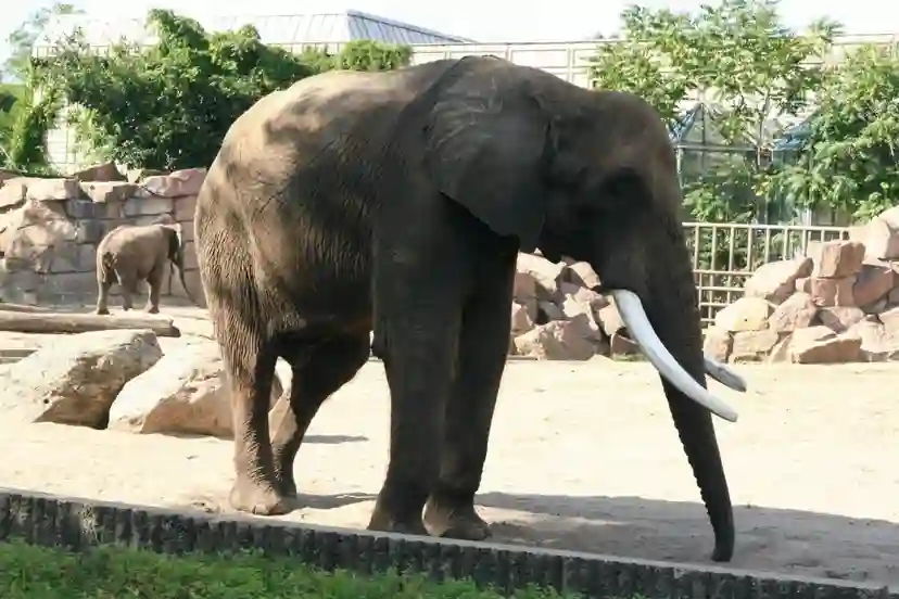 Tierpark Berlin