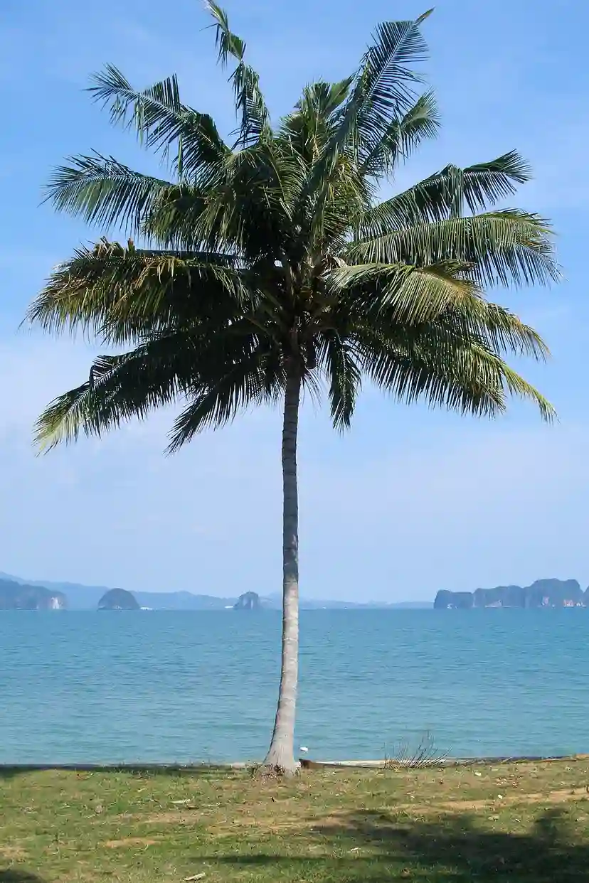 District de Ko Yao