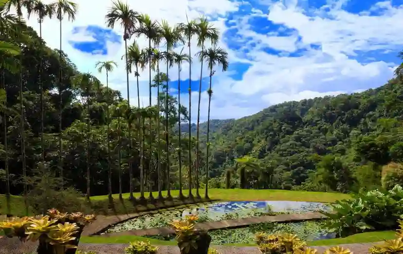 Jardin de Balata